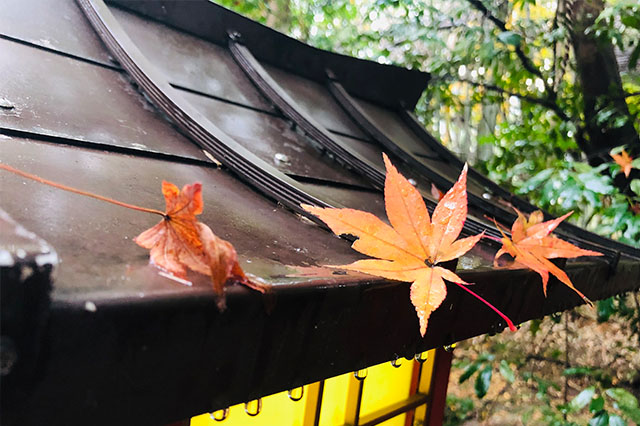 20181010181005_1636 20181010181005_1636