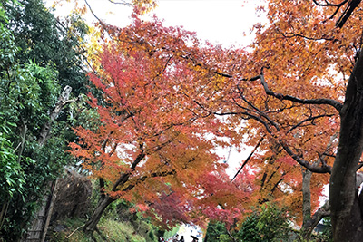 20181010181005_3042 20181010181005_3042