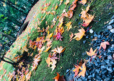 20181010181005_0386 20181010181005_0386